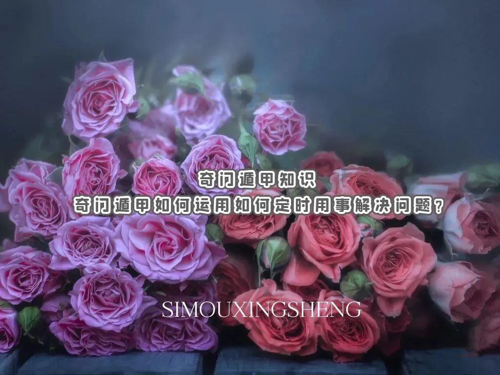 1680788004772581.jpg